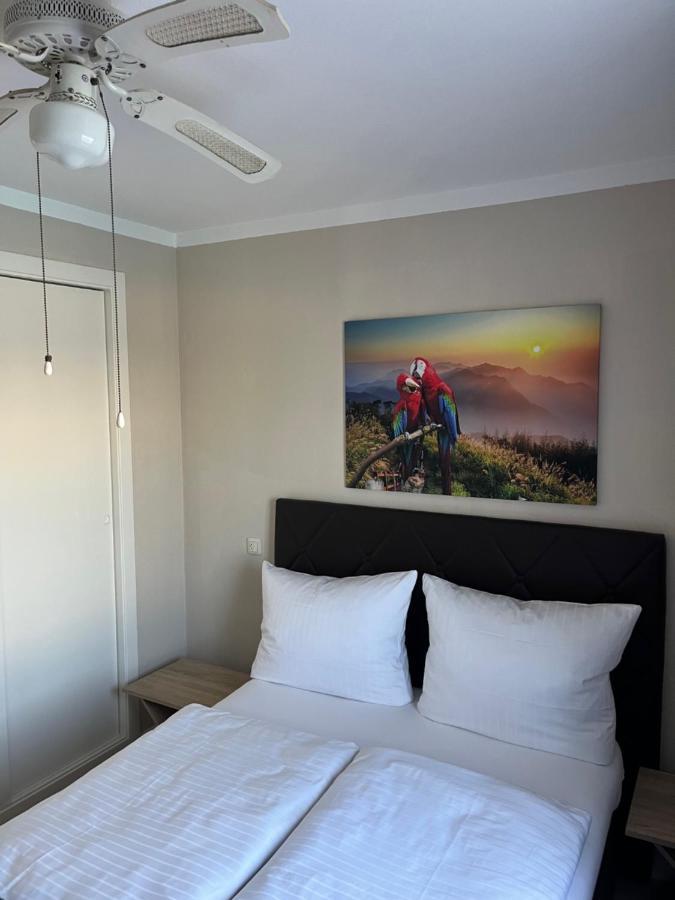 Appartement Villa-Celine Torrevieja Dış mekan fotoğraf
